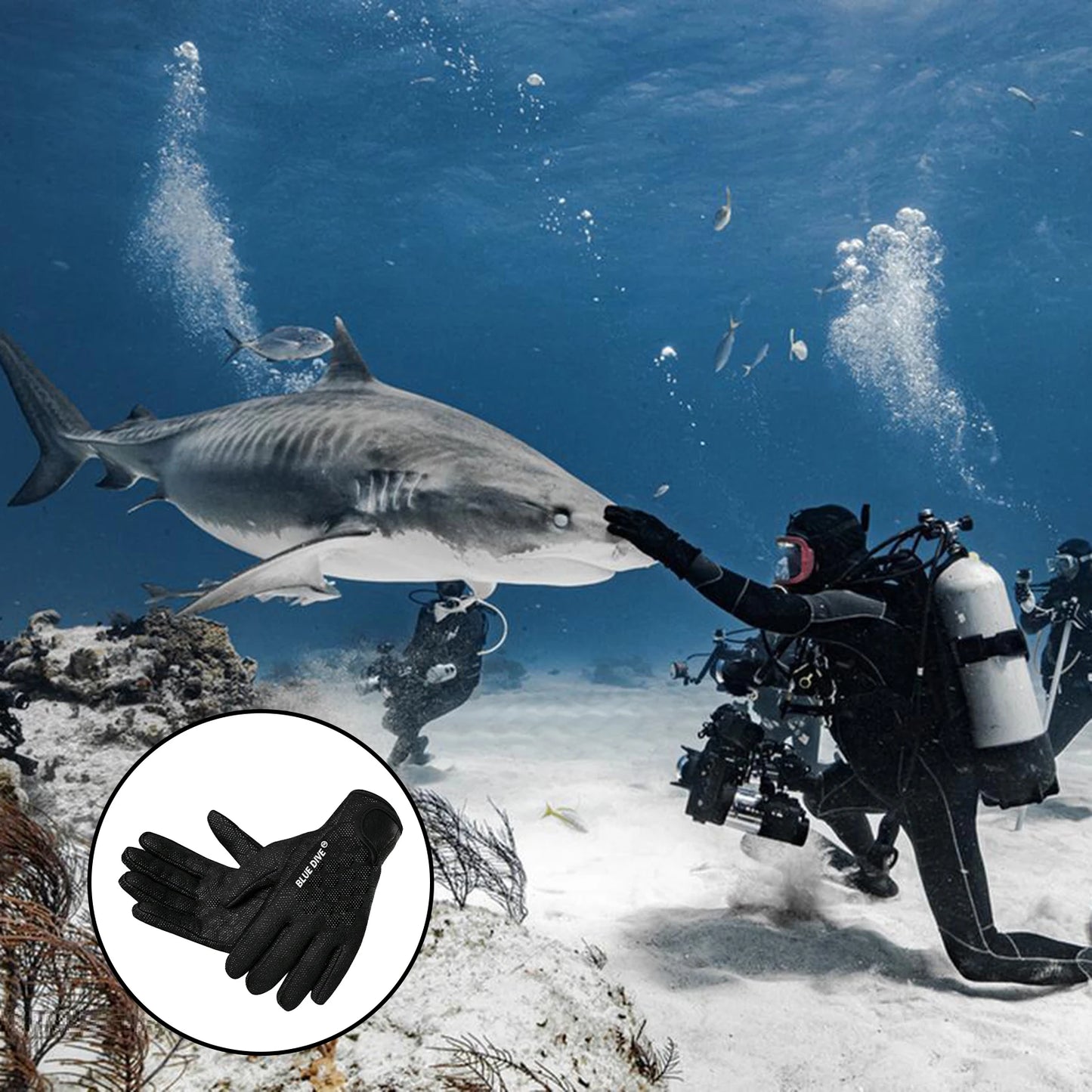 1.5mm Neoprene Snorkeling & SUP Gloves — Lightweight Non-Slip for Warm Water Sports